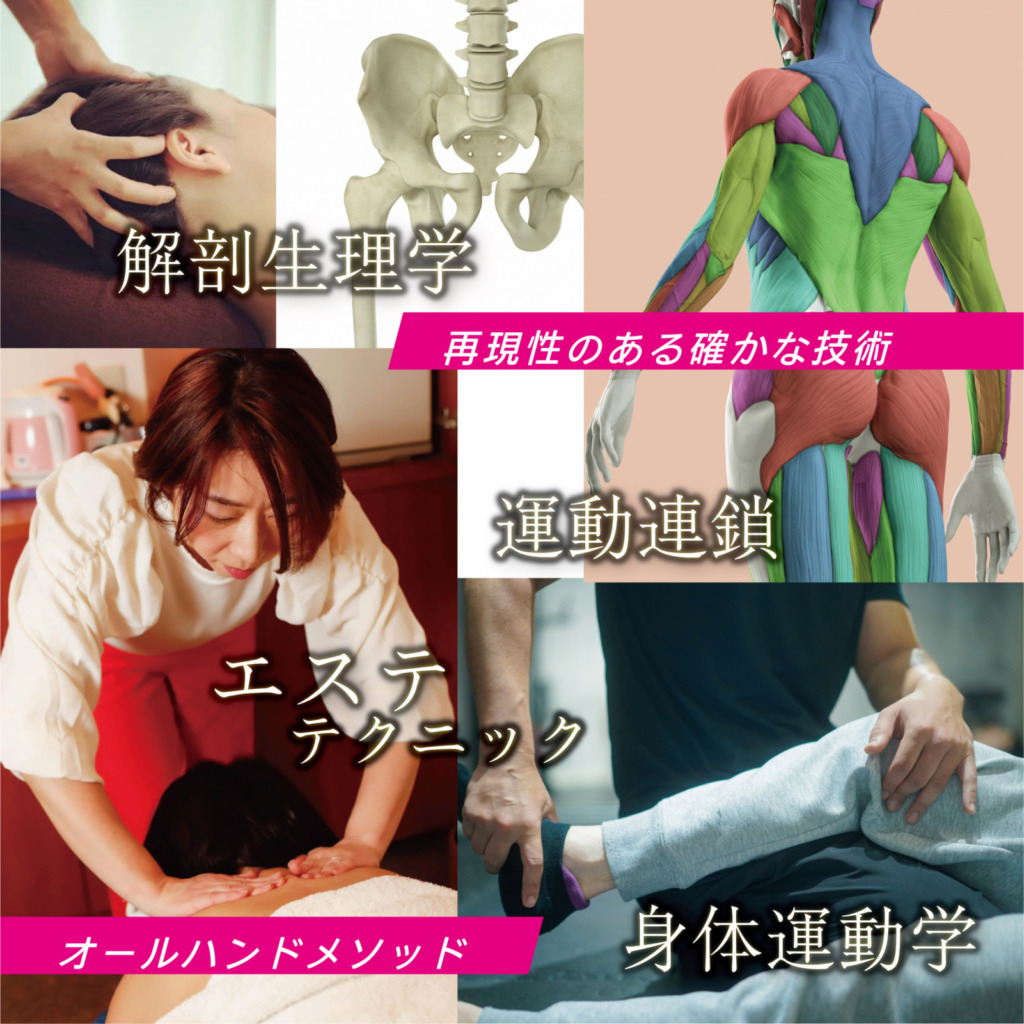 筋膜リカバリー セラピスト養成講座受付スタート！ | 株式会社アウローラ 公式ウェブサイト